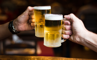 Craft, Flavored Malt and Imported Beers Continue to Experience Growth While Traditional Beers Struggle, According to the 2017 Beer Handbook