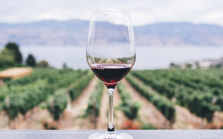 U.S. Wine Consumption Increases Led by the Upsurge in Total Sparkling and Champagne According to the 2017 Wine Handbook