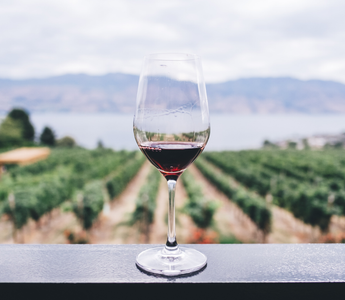 U.S. Wine Consumption Increases Led by the Upsurge in Total Sparkling and Champagne According to the 2017 Wine Handbook