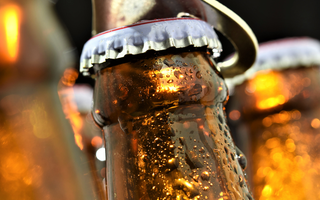 Imports, Craft and FMBs Show Gains While Overall Beer Volume Falls, According to the 2019 Beer Handbook