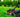Outdoor Power Equipment Industry Growth Constrained in 2024, According to the 2025 OPE+ Market Data Book